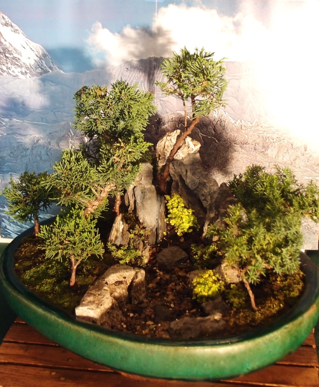 Continuation of the Continuation of Penjing or Saikei thread...New Pics. Shimpa14