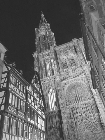 Cathédrale de Strasbourg P1300414