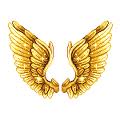 Utve zlatokrile or Utve with golden wings  Kril10