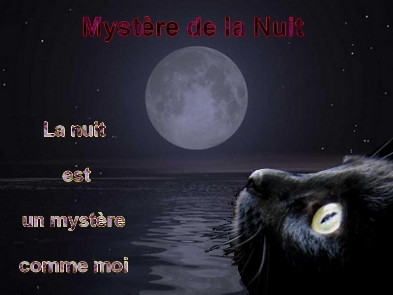 Mystère de la Nuit // ♂ // Tonnerre  Nuit-d12