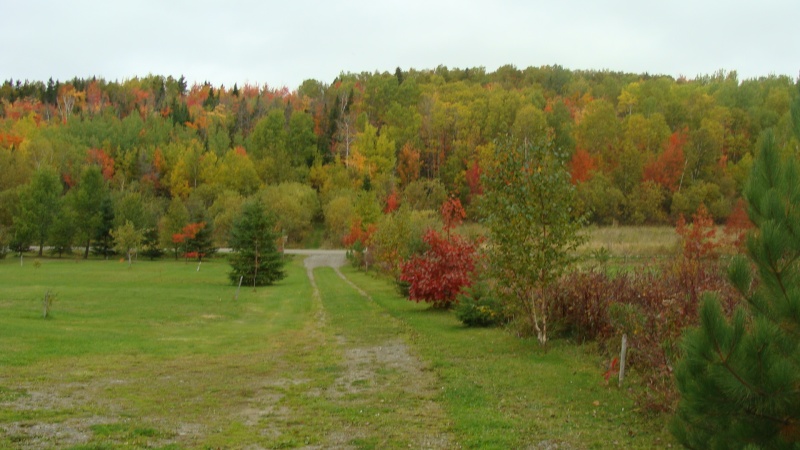 Paysages d'automne au Québec 00911