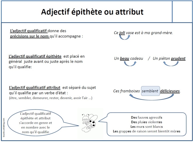 Grammaire  2310