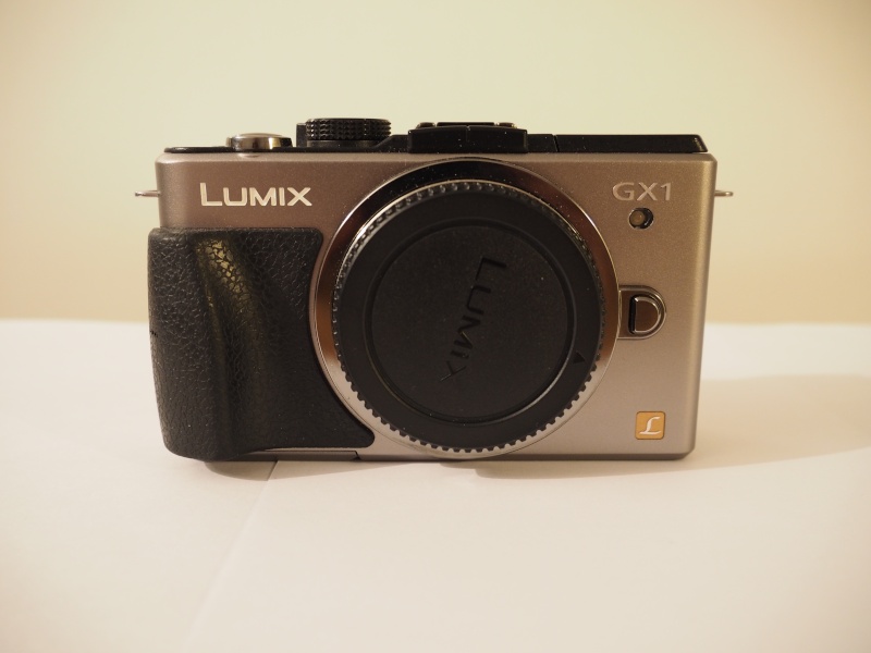 [VENDU] Panasonic GX1 Silver Nu Photo211