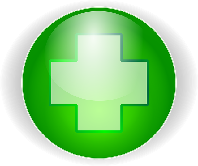 Server suggestion by U.B.E.R_12 (Medic Pack) Green-10