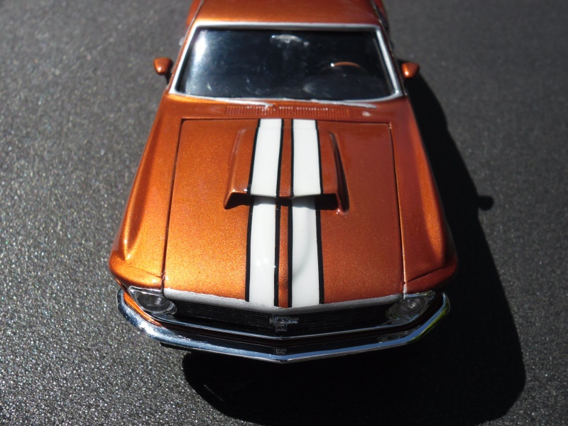 Mustang Boss 429 1970 (Article de bienvenue !)  Sam_4511
