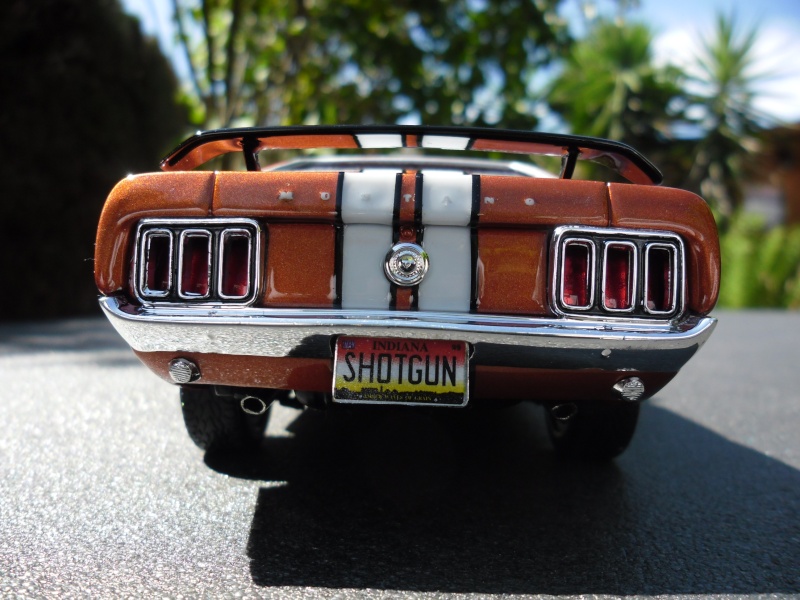 Mustang Boss 429 1970 (Article de bienvenue !)  Sam_4512