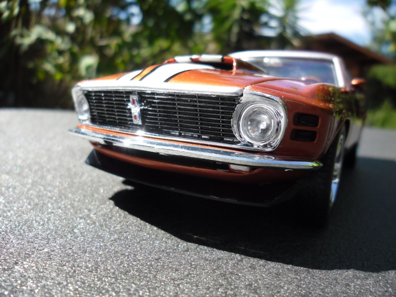 Mustang Boss 429 1970 (Article de bienvenue !)  Sam_4513