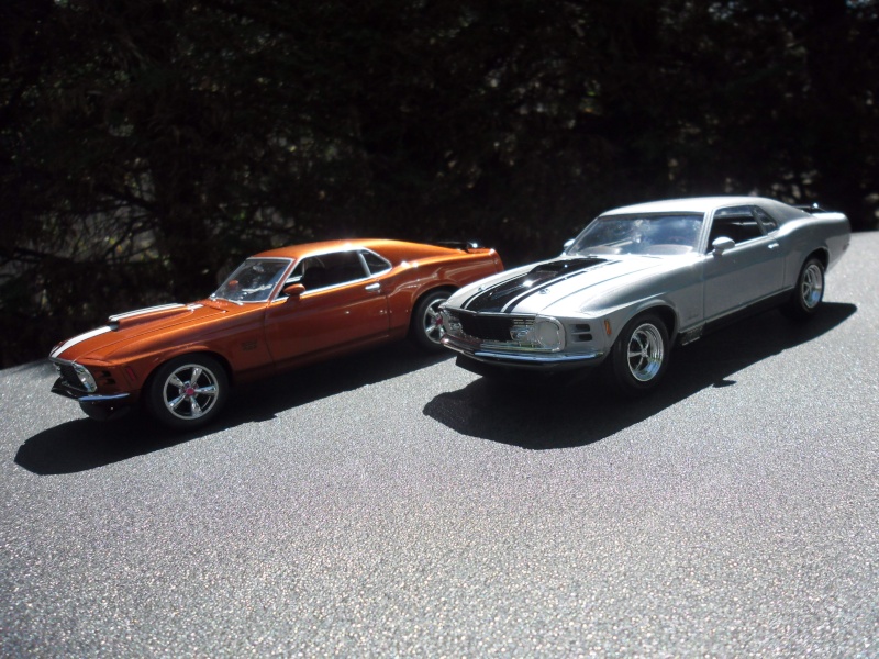 Mustang Boss 429 1970 (Article de bienvenue !)  Sam_4611