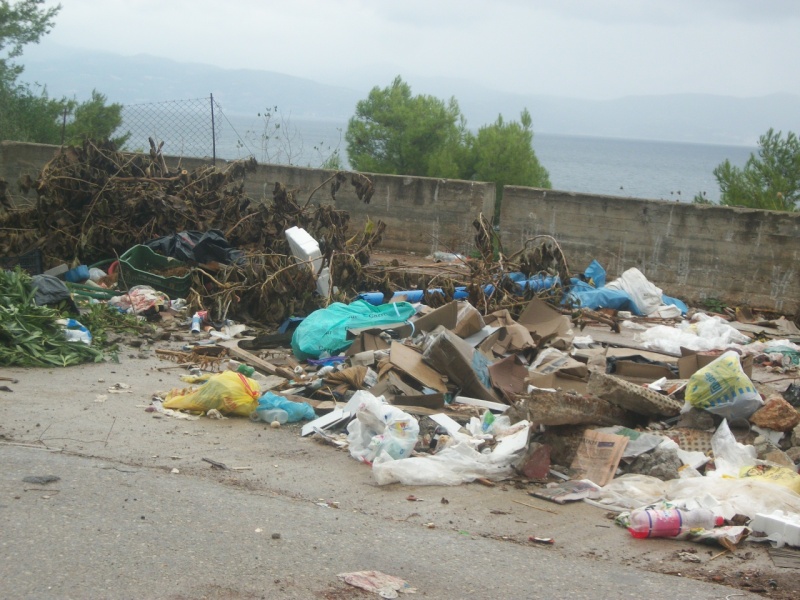 Σημερινή εικόνα σκουπιδιών στην αποκώμα. Τριτοκοσμική εικόνα για Ευρωπαίκο κράτος 27/10/2014 100_3721