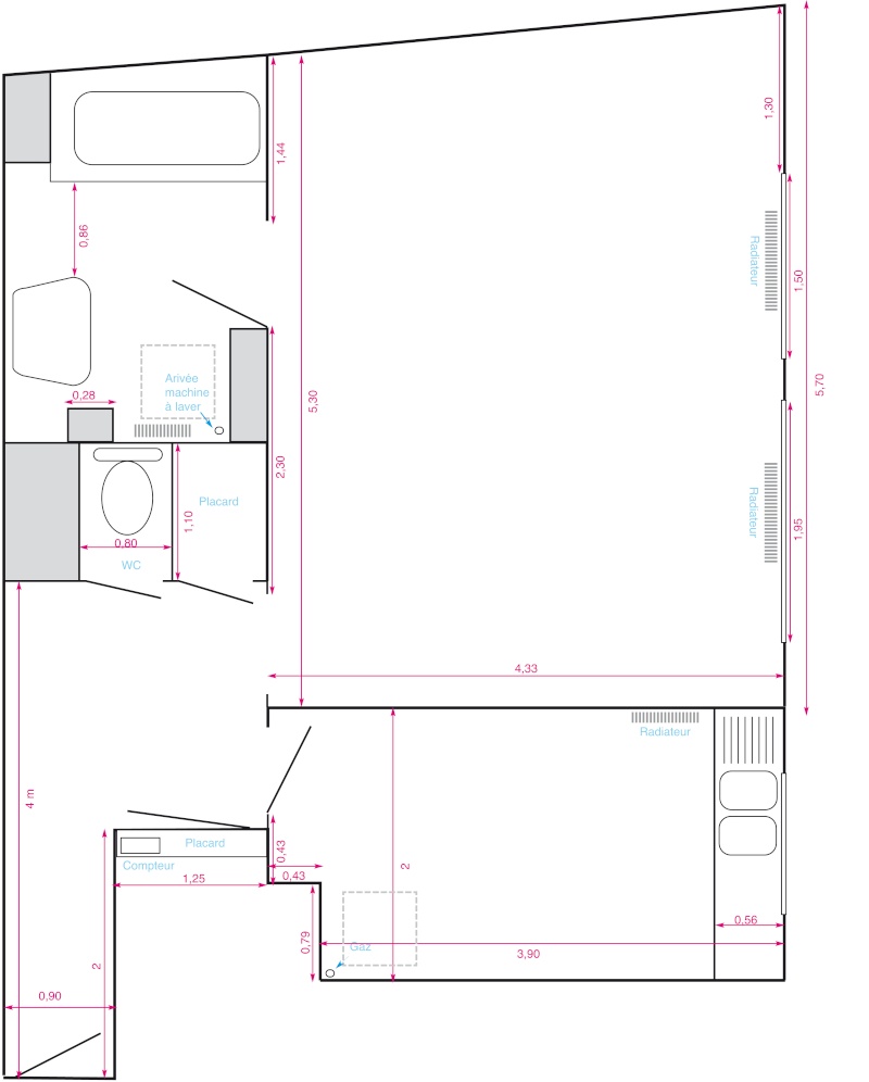 Aménager premier apartement : grand studio 44m2 Planse11