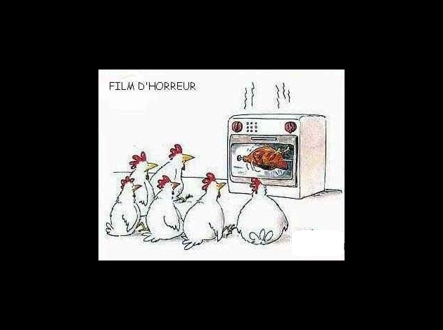 Humour de poule I_211