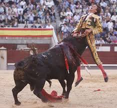  200 manifestants contre la tauromachie Images10