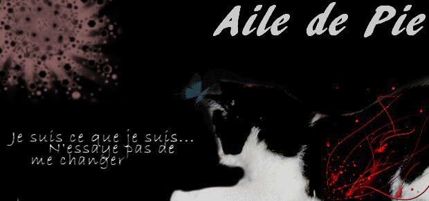 2/3 [OUVERT] |Fall in the hell| Luny's atelier.  Chat-n12