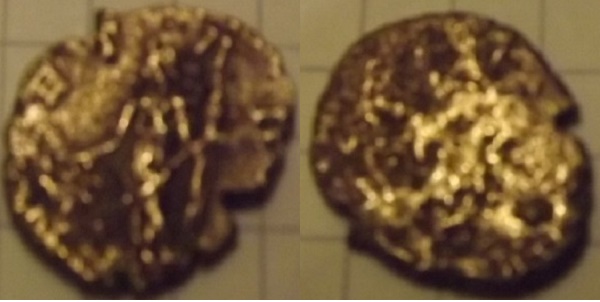 Identification (petite romaine ?) Rom110