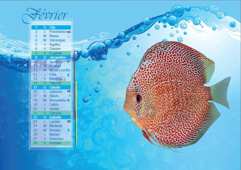 Calendrier Aquariophile 2015 16108310