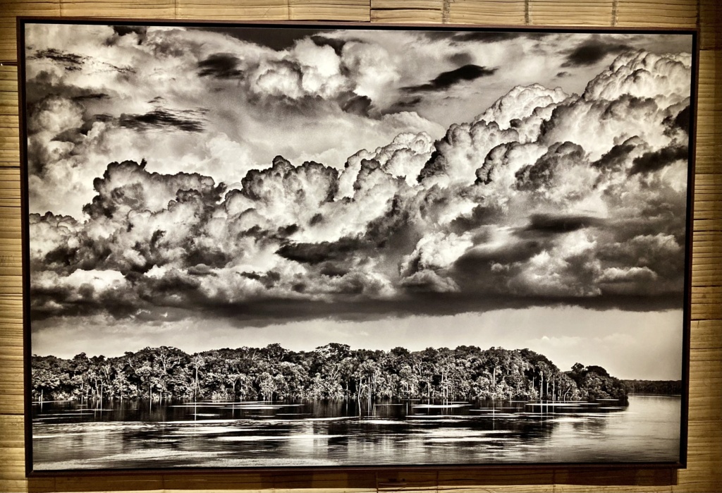 Sebastião Salgado 753f8e10