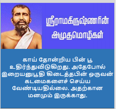 பல்சுவை கதம்பம் 233