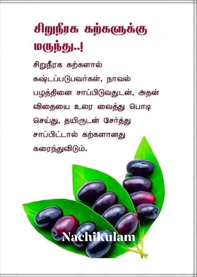 பல்சுவை தகவல்கள் 3ae22e10