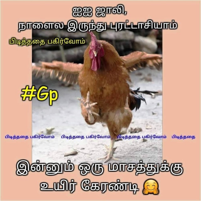 பல்சுவை களஞ்சியம் A8d1a810