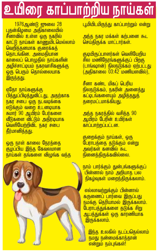 பல்சுவை களஞ்சியம்- இணையத்தில் ரசித்தவை- அக்-4 Dog12