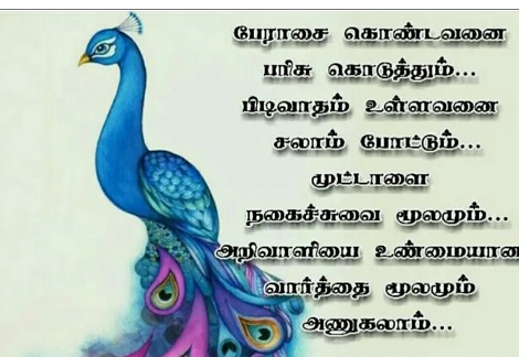 பல்சுவை - வாட்ஸ் அப் பகிர்வு E2f63110