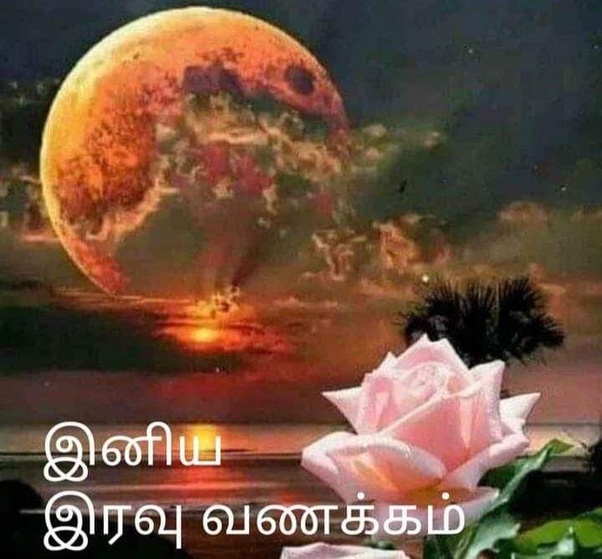 இணையத்தில் ரசித்தவை Good_n11