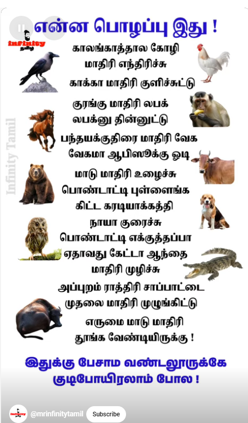 பல்சுவை களஞ்சியம் - ஆகஸ்ட் 28 Joku42