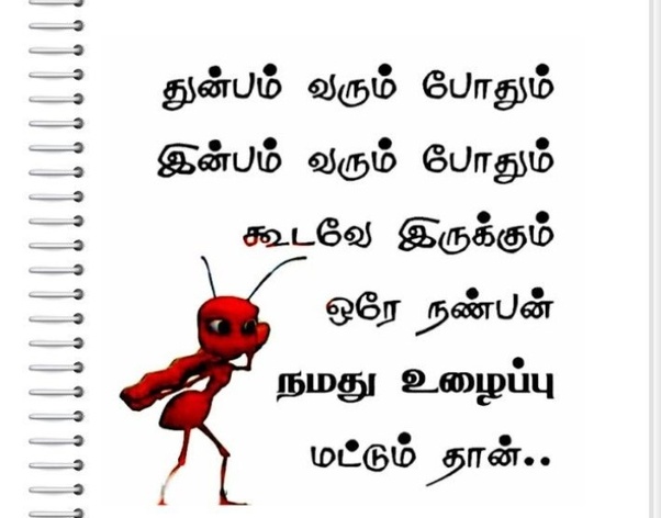 பல்சுவை கதம்பம் S310