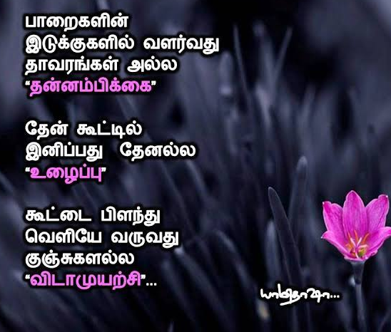 சிரிப்பு Vida10