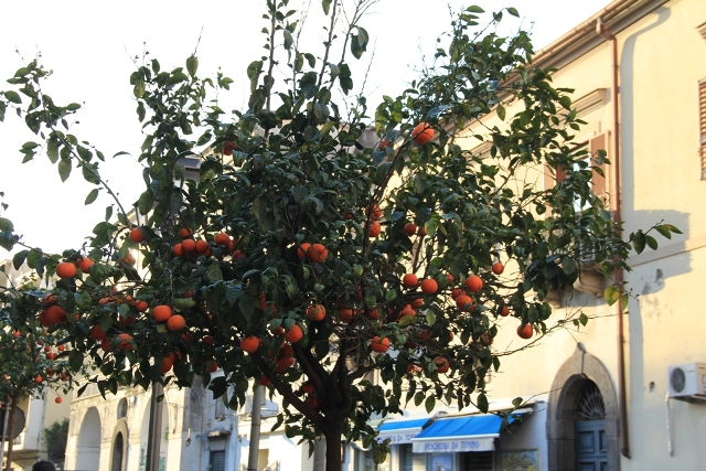 Povabilo na kavo Pomara10