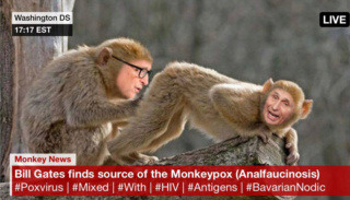 Генри Макоу - ВЭФ/ВОЗ готовится к борьбе с обезьяньей оспой  A_202263