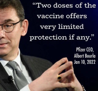 Генри Макоу - Как они узнали, что "вакцины" будут токсичными, в 2017 году? Bourla10
