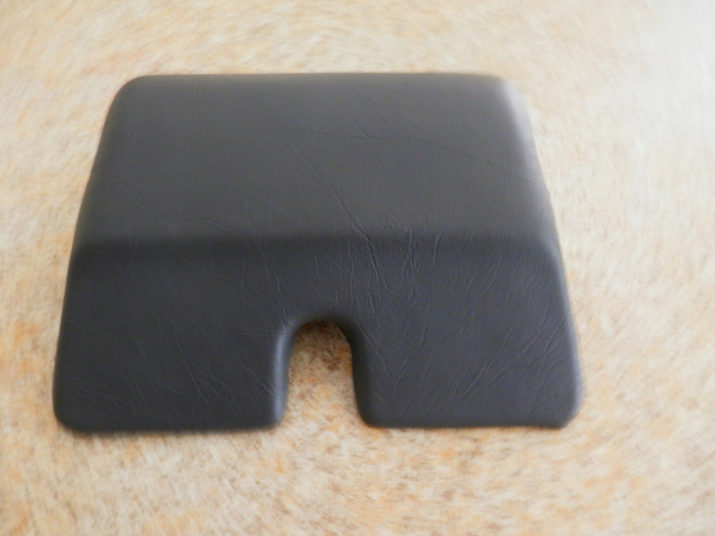 22 Lt OEM top box back rest recover. P3120012