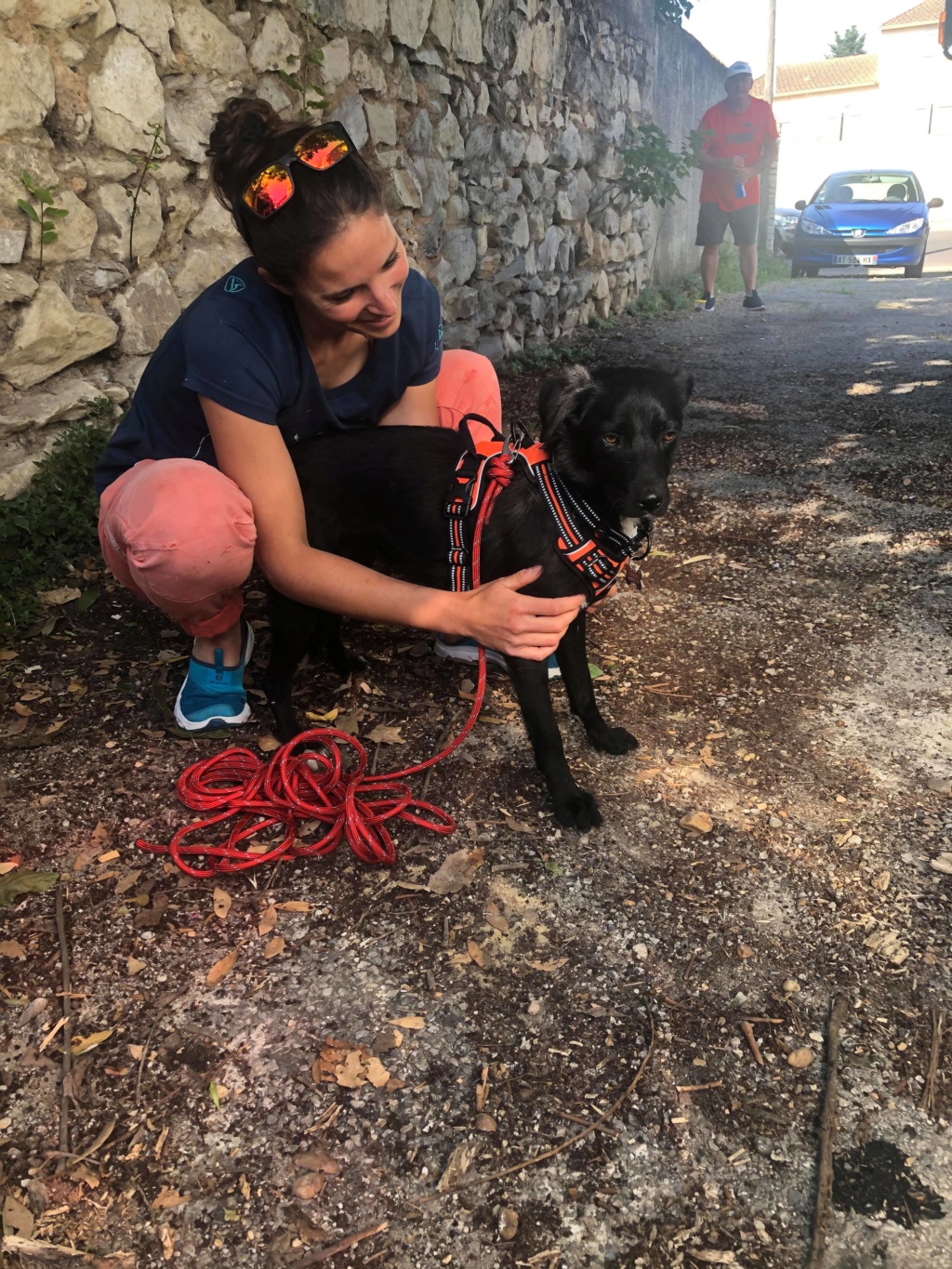 SHADOW (ex NORA) - Chiot femelle de taille moyenne à l'âge adulte - Née environ en Juin 2019 - Refuge de Geta - Adoptée par Sylvie (37) 10114211