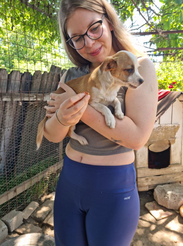 BALTHAZAR - Chiot mâle croisé de petite taille à l'âge adulte - Né environ en Décembre 2021 - Refuge de Mihaela - Adopté par Sandrine en France  28147510