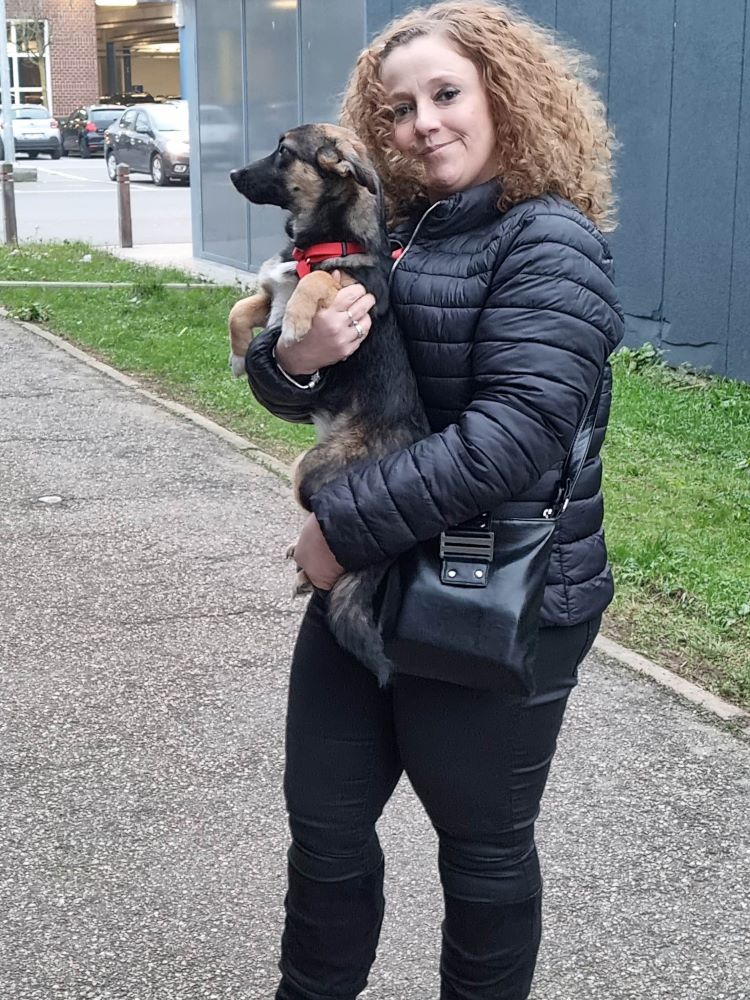 SHEILA - Chiot femelle croisée de petite taille à l'âge adulte - Née environ en Juin 2022 - Adoptée par Lara en Belgique  - Page 2 33042311