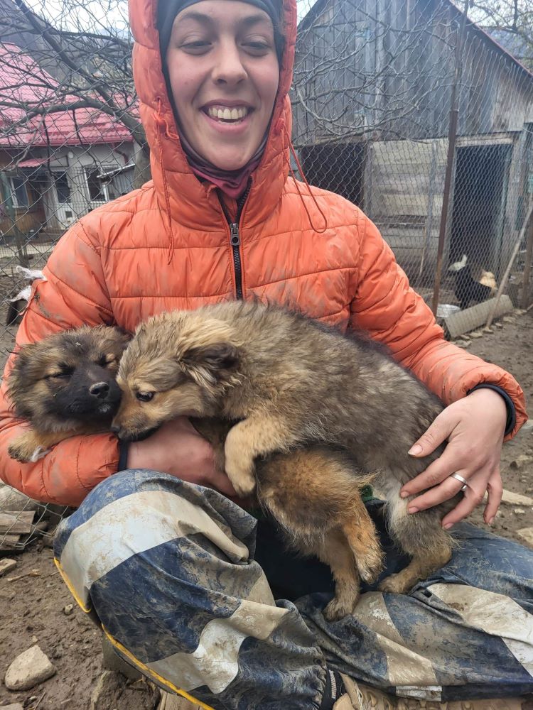 ROMY (ex BONNIE) - Chiot femelle croisée de taille petite à moyenne à l'âge adulte - Née environ en Décembre 2022 - Refuge de Monica - Adoptée par Myriam en France.  33732012