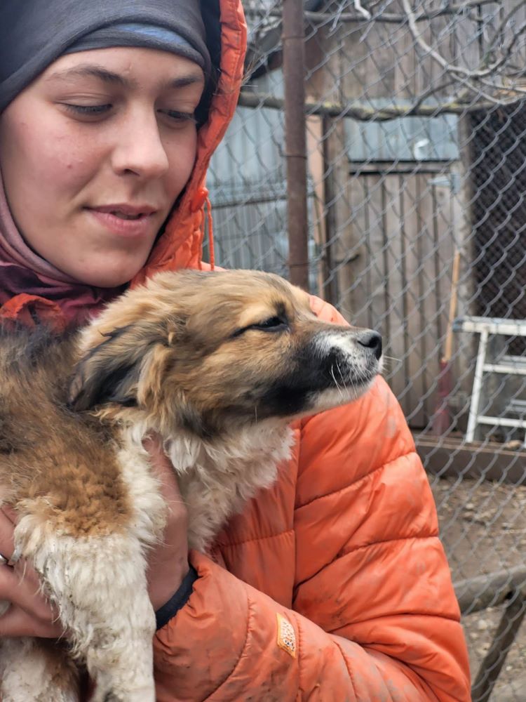 AKI (ex DORY) - Chiot femelle croisée de taille petite à moyenne à l'âge adulte - Née environ en Décembre 2022 - Refuge de Monica - Adoptée par Virginie en Belgique  33747210