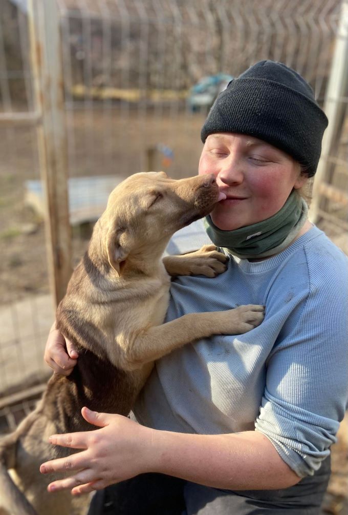 louane - LOUANE - Chiot femelle croisée de taille petite à moyenne à l'âge adulte - Née environ en Juillet 2023 - Refuge de Monica - Réservée via une autre association 39976510