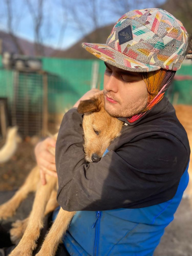 LUKY (ex ROUKY) - Mâle croisé de taille petite à moyenne - Né environ en Juillet 2022 - Refuge de Monica - Adoptée par Nathalie en France (département 56 ) 40088211