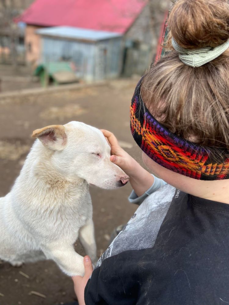 COCONUT - Mâle croisé de petite à moyenne taille - Né environ en 2020 - Refuge de Monica 40363422