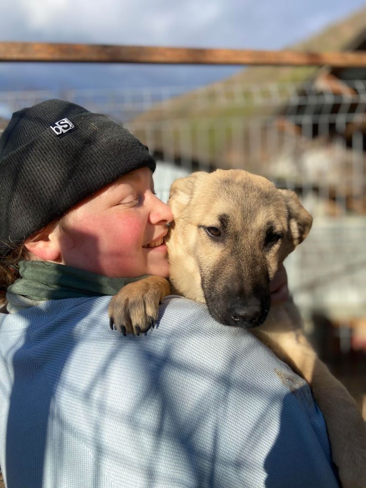 GIMS - Chiot mâle croisé de taille petite à moyenne à l'âge adulte - Né environ en Juillet 2023 - Refuge de Monica 40363714