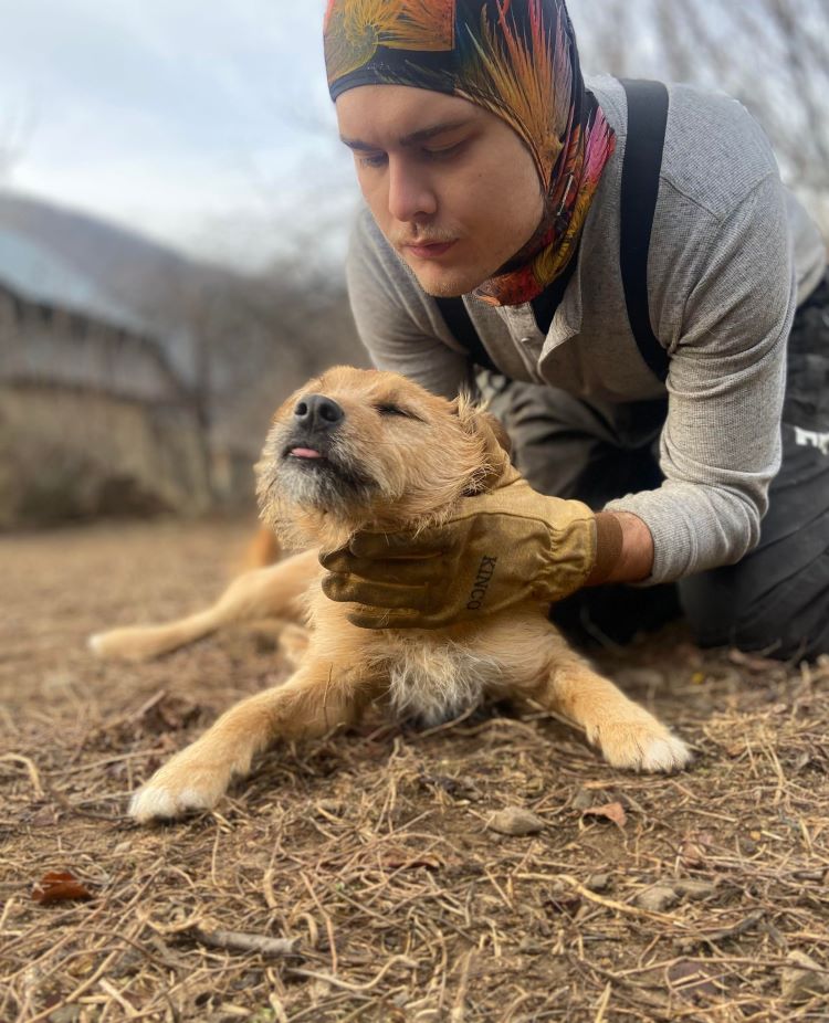 LUKY (ex ROUKY) - Mâle croisé de taille petite à moyenne - Né environ en Juillet 2022 - Refuge de Monica - Adoptée par Nathalie en France (département 56 ) 40364613