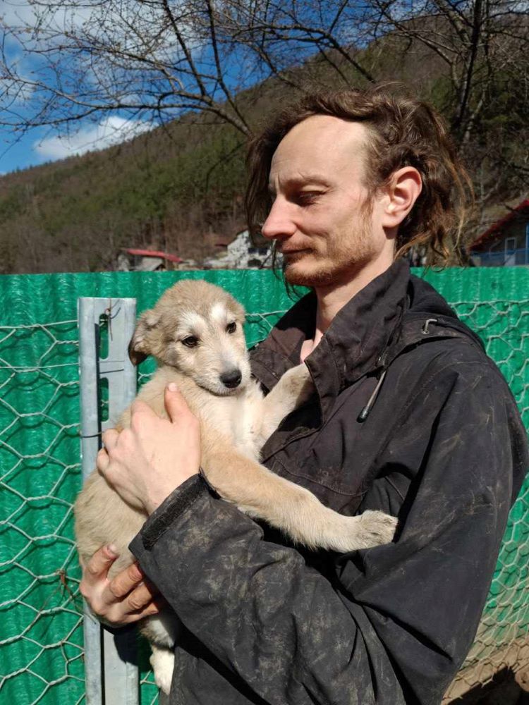 ZIRA - Chiot femelle croisée de taille moyenne à l'âge adulte - Née environ en Décembre 2023 - Refuge de Monica- Réservée à l'adoption par Céline en Belgique  43270013