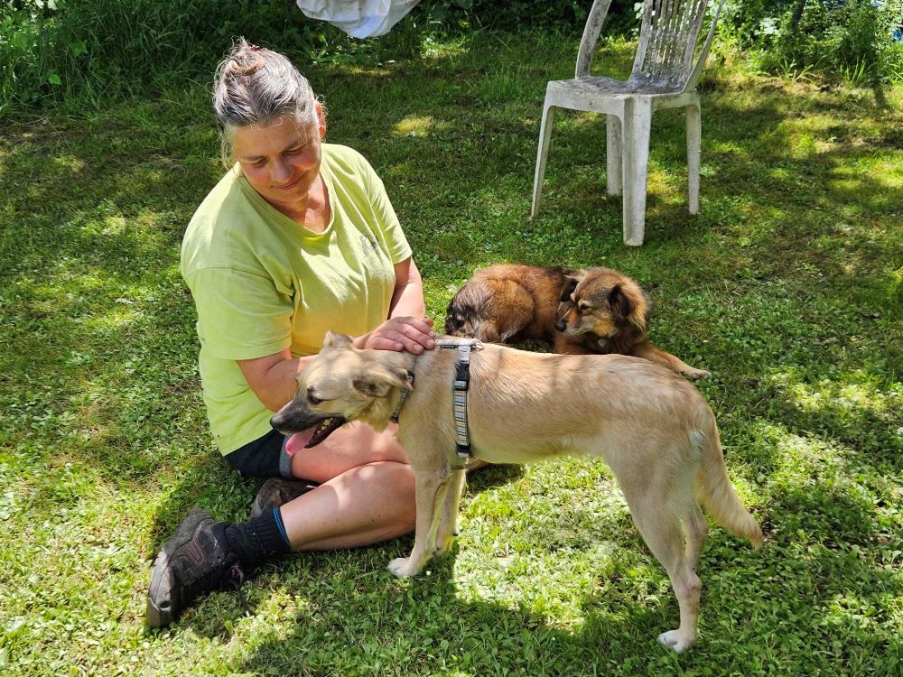 ROCKY (ROCCO) - Chiot mâle croisé de petite taille à l'âge adulte - Né environ en Août 2023 - Refuge de Ozana - Adopté par Myriam en France(département 27) 43829334