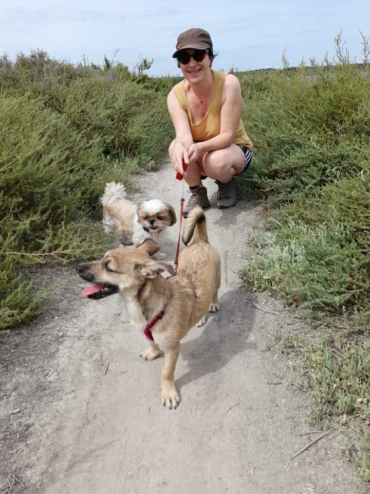 ZORRA - Chiot femelle croisée de petite taille à l'âge adulte - Née environ en Février 2024 - Refuge d'Aurelia - Adoptée par Odile en France ( dpt 34 ) 45036210