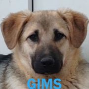 Association Happy Together Gims14