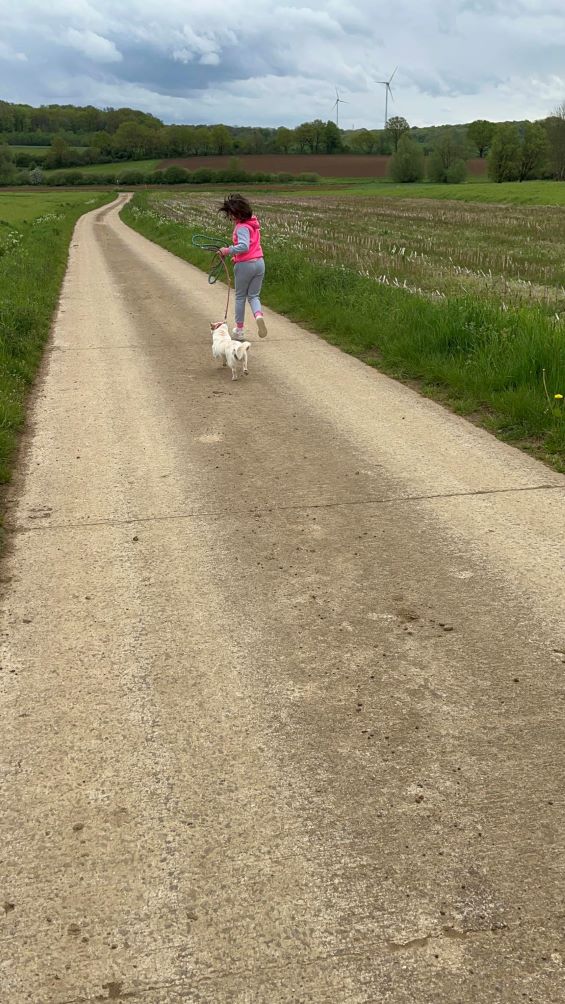 JEANNE - Chiot femelle croisée de petite taille à l'âge adulte - Née environ en Avril 2023 - Adoptée par Virginie en Belgique  Jeanne17