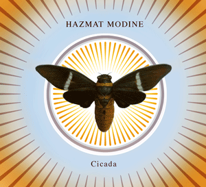 cicada10.gif