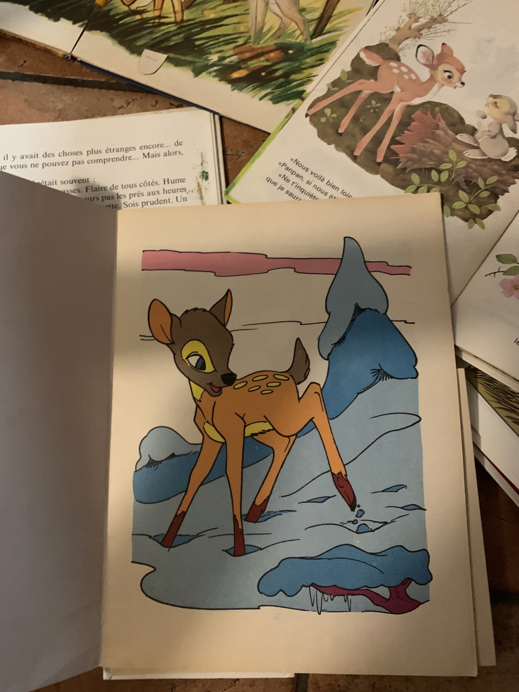 Mon petit univers Bambi - Page 6 Img_2918